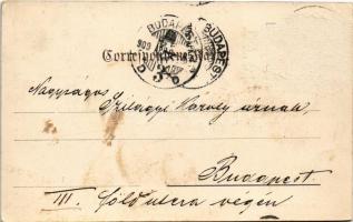 1909 Ilidza, Ilidze bei Sarajevo; Hotel Austria und Bosna / hotels (Rb)