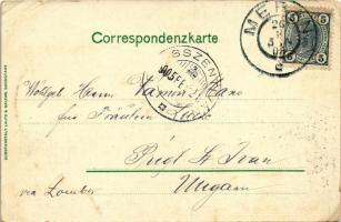 1905 Merano, Meran (Südtirol); Partie a. d. Passer / riverside, villa (EB)