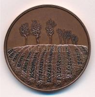 DN "A kitelepítettek emékére" Br emlékérem (42,5mm) T:1-