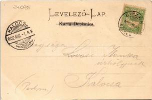 1902 Eszék, Essegg, Osijek; dolnji grad / Unterstadt / hajómalom / floating ship mills (boat mill) (...