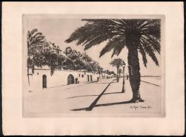 Béjot, Eugene (1867-1931). Boulevard du Midi (Boulevard de la Croisette), Cannes, 1893. Rézkarc, papír. Jelzett a karcon. 23x32 cm