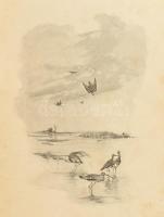 Bársony István: Magyar természeti és vadászati képek. Neográdi Antal képeivel. Bp.,1900, Athenaeum, ...