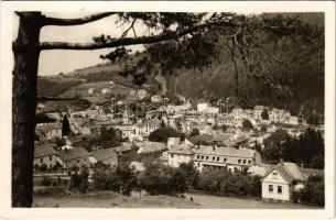 1946 Trencsénteplic, Trencianske Teplice; Celkovy pohlad / látkép / general view