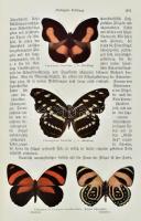 Deutsches Knabenbuch. Ein Jahrbuch der Unterhaltung, Belehrung, und Beschäftigung für unsere Knaben....