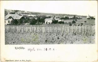1906 Révfülöp, szőlőskert. Fischl Jakab és fiai 5748.