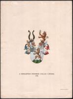 cca 1890-1910 A keresztesi Frummer család címere, színezett nyomat, Bp., Posner és Fia, ragasztónyomokkal, kis sérüléssel, 33x24,5 cm