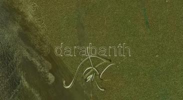 Szász Endre (1926-2003): Portré. Olaj, farostlemez, jelzett. Proveniencia: Előző tulajdonos vásárlás...