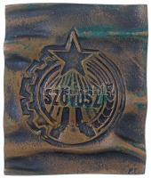 DN "Berkes Ferenc-díj / SZÖVOSZ" kétoldalas, öntött Br plakett. Szign.: PE (85x71mm) T:1- ...