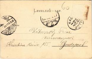 1900 Nagyszőlős, Nagyszőllős, Vynohradiv (Vinohragyiv), Sevljus, Sevlus; Szőlőhegyi villák / vineyar...