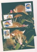 2004 WWF Közép-amerikai gyapjaspatkány CM Mi 1285-1288