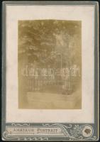 cca 1910 Miskolc, Mindszenti temető, Benedekfalvay Kiszely Ernő (1825-1907) 1848-as honvéd huszárkapitány, országgyűlési képviselő sírja, kartonra kasírozott fotó, 9×6,5 cm