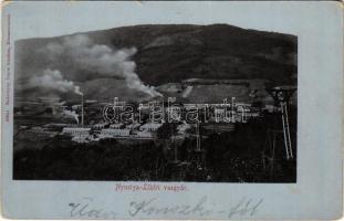 1901 Nyustya-Likér, Hnústa-Likier; vasgyár. Rakottyai Lajos kiadása / iron works, factory