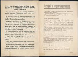 cca 1950-1960 Burgonyabogár elleni felhívó szórólap, tennivalók ismertetéséről, 2 db