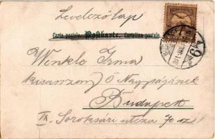 1901 "Kranke Herzen" Serie 39. Kunstverlag Rafael Neuber Art Nouveau, litho s: R. Kratki (...