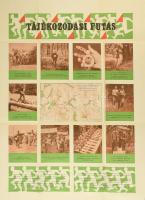cca 1970-1980 Tájékozódási futás, nagyméretű plakát, MN Térk. Int., hajtva, 99x68,5 cm