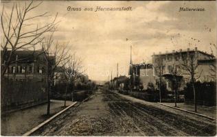 1908 Nagyszeben, Hermannstadt, Sibiu; Hallerwiese. Karl Graef / Hallér rét / street (EK)