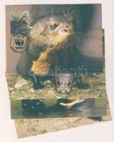 2004 WWF Óriásvidra négyestömb+CM Mi 1951-1954