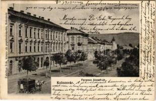1906 Kolozsvár, Cluj; Ferenc József út. Fabritius Erik kiadása / street (fl)
