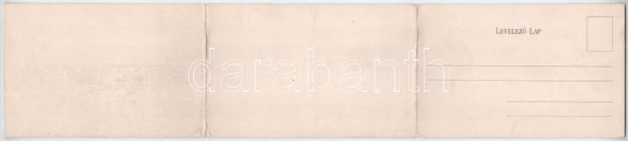 Pozsony, Pressburg, Bratislava; Három részes kinyitható panorámalap. Neffe J. kiadása / 3-tiled fodl...