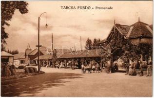 1917 Tarcsa, Tarcsafürdő, Bad Tatzmannsdorf; sétány / Promenade + M. kir. Rokkantügyi hivatal tarcsafürdői különl. gyógyintézete Katonai ápolás ügy portomentes (fl)