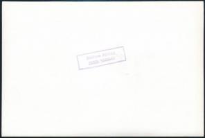 cca 1975 Kádár János (1912-1989), az MSZMP főtitkára úttörőkkel, a Magyar Ifjúságban publikált, háto...