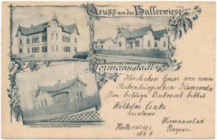 1900 Nagyszeben, Hermannstadt, Sibiu; Hallerwiese / Haller réti villák / villas. Ludwig Michaelis Art Nouveau, floral (EB)