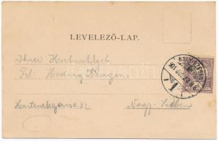 1901 Nagyszeben, Hermannstadt, Sibiu; Mihaiu szálloda és étterem / hotel and restaurant