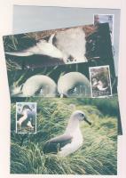 2005 WWF Szürkefejű albatrosz CM Mi 357-360