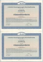 Budapest 2000. "Reanal Finomvegyszergyár Részvénytársaság" névre szóló törzsrészvénye 10.0...