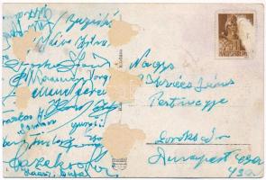 Paks, Dunai park (vágott / cut)