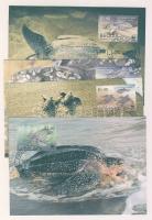 2001 WWF Bőröshátú teknős CM Mi 306-309