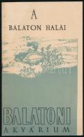 cca 1950 A Balaton halai, Balatoni akvárium. 26 p képekkel