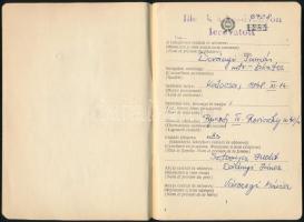 1978 Hajós szolgálati igazolvány, fényképes