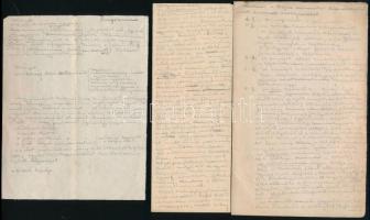 1918-1925 Szabó Lóránd pécsi jogászhallgató dokumentumai. Mecsekaljai Bánság, DEFHE, ÉME, stb fotók,...