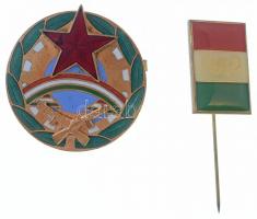 DN "STE ALOYSI ORA PRO NOBIS / PATRONA HUNGARIAE" Szent Alajost ábrázoló ezüstözött bronz ...