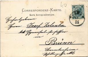 1903 Zbarazh, Zbarazs, Zbaraz; Kosciol O. O. Bernardynów, Ulica Sienkiewicza, Poludniowa czcsc miast...