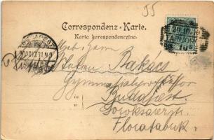 1900 Ternopil, Tarnopol; ulica Mickiewicza / street view. C. Haliczer (EK)