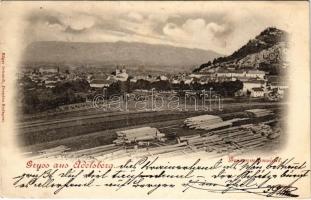1899 Postojna, Adelsberg; Gesammtansicht / general view (Rb)