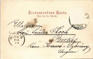 1899 Postojna, Adelsberg; Gesammtansicht / general view (Rb)