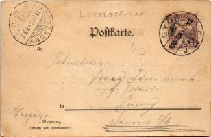 1900 Pirna, general view, castle, steamship. Edgar Schmidt Künstlerpostkarte No. 7. litho (EK)