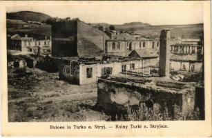 Turka, Ruinen in Turka a. Stryj / Ruiny Turki n. Stryjem / ruins along the Stryj river