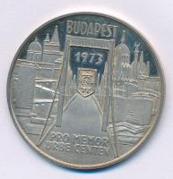 Csucs Viktória (1934-) 1973. Pest - Buda - Óbuda - 1873 / Budapest 1973 - Pro memor urbe centen Ag emlékérem (21,31g/0.835/42,5mm) T:1- (eredetileg PP) patina