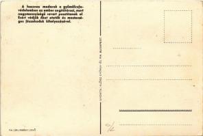 Védjük a hasznos madarakat! Egy cinege pártól elpusztított rovarmennyiség egy évi szaporulatával köz...