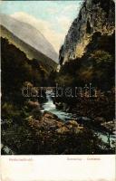 1909 Herkulesfürdő, Baile Herculane; Cserna-völgy, híd. Krizsány R. kiadása / Csernatal / valley, bridge (EK)