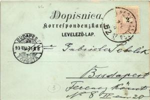 1899 Zagreb, Zágráb; Jelacicev spomenik / Jellasics szobor és tér, üzletek / monument, statue, shops...