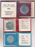 1981. 100Ft Ni "FAO I. - Világélelmezési nap" + 1982. 100Ft Cu-Ni "Labdarúgó világbaj...