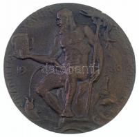 1936. "Vivát Béla Xavér a nagy skót telivér" egyoldalas, öntött bronz emlékérem (57mm) T:1-