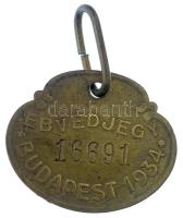 Budapest 1934. Sárgaréz ebvédjegy 16691 sorszámmal T:2