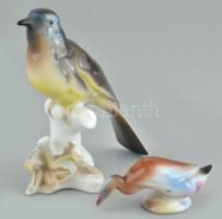 Porcelán kacsa és madár, kézzel festett, jelzéssel és jelzés nélkül, kopásnyomokkal, m: 3,5 és 13 cm