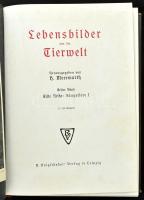 Lebensbilder aus der Tierwelt. Erster Band. Erste Reihe: Säugetiere I. Hrsg. von H. Meerwarth. Leipz...